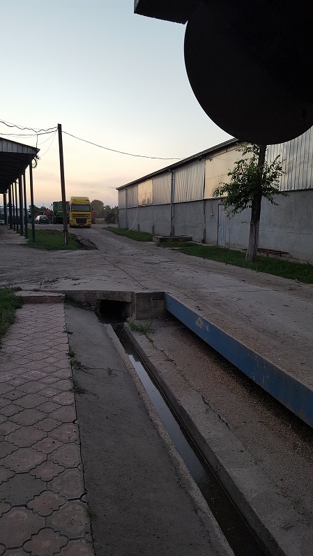 Slika 12